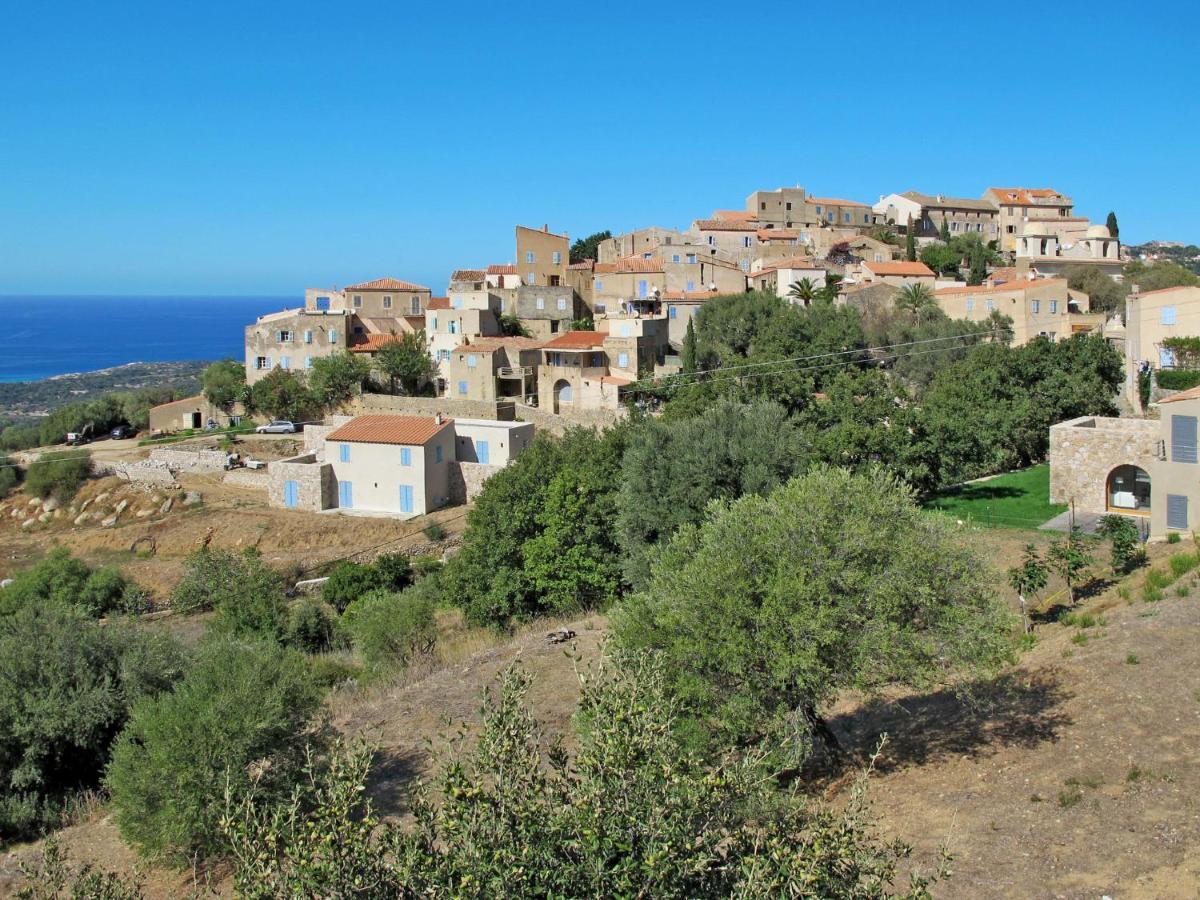 Apartment Résidence de la Plage - IRU151 LʼÎle-Rousse Esterno foto